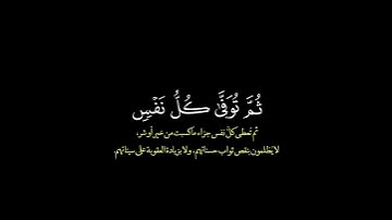 واتقوا يوما ترجعون فيه الى الله/ القارئ ادریس ابکر #قرآن #قرآن_الكريم