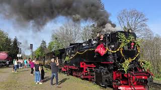 HSB 2024 Walpurgiszug (Witch-train) mit BR 99 7247-2 Ausfahrt Drei-Annen-Hohne nach Schierke