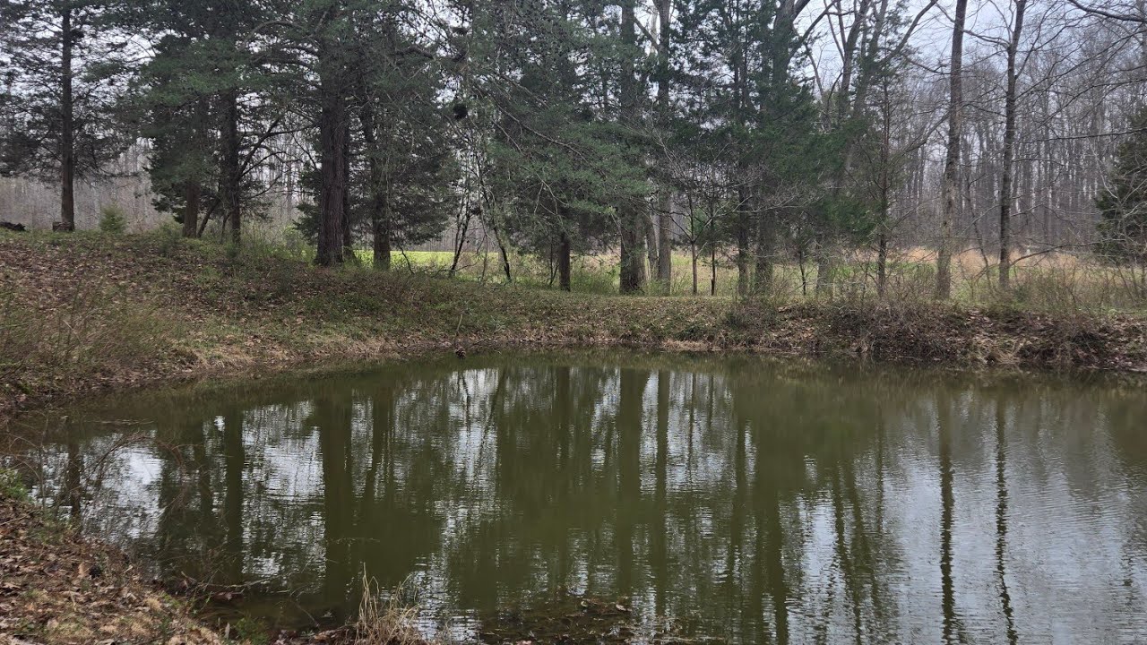 Let me show you my secret fishing pond. Midwest Gold Fever is live!