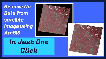 Remove No Data from satellite image using ArcGIS