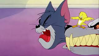 Tom and Jerry - Kitty foiled