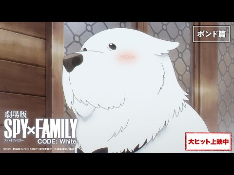 めコンテンツです。スパイファミリーのボンド君やや使用 劇場版 SPY×FAMILY CODE: White』WEB 6秒CM「ボンド篇」【大ヒット上映