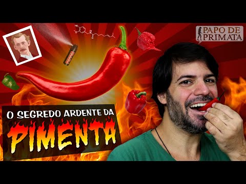 O segredo ardente da pimenta