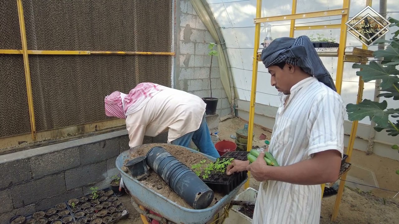 الحياة في المزرعة