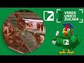 🐔 Revolucionando la Avicultura: El Aviario VISION 🌟 para gallinas ponedoras de ZUCAMI 🥚