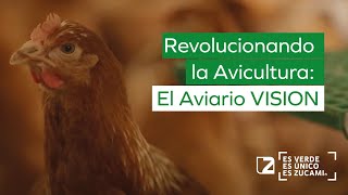 🐔 Revolucionando la Avicultura: El Aviario VISION 🌟 para gallinas ponedoras de ZUCAMI 🥚