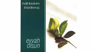 Halil İbrahim Buyukoruç - Medineye Resimi