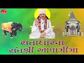 Sant Shri Apagiga Nu Jivan Charitra - Satadhar - Shantilal Vataliya