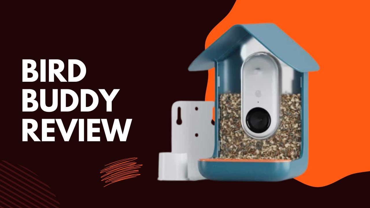 Tips for Setting Up the Bird Buddy and Mounting the Feeder Using the Wall  Mount with the APS 