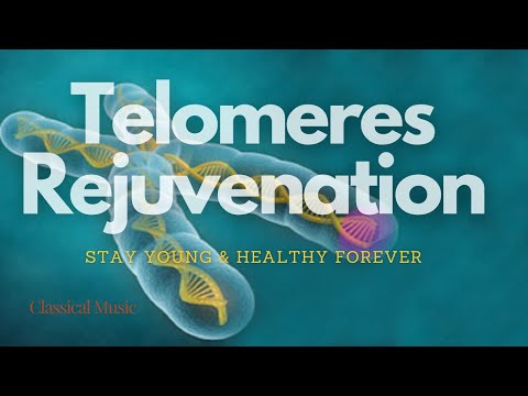 Video: Telomeres: Lyhenemisen Merkitys Syöpään Ja Ikääntymiseen, Miten Välttää