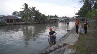 1188 / Mấy anh em ra lộ mới chài cá