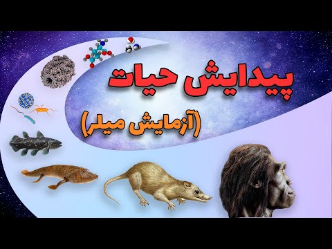 تصویری: چگونه بفهمیم برای چه به دنیا آمده اید