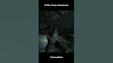 CITRA: Nosey Animatronic #garrysmod #gaming #nextbots #sandbox