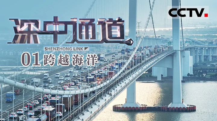 《深中通道》EP1 这是一个足以让世界震惊的超级跨海工程！中国人正在挑战极限——跨越海洋【CCTV纪录】 - 天天要闻