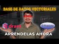 Si usas IA, necesitas esto: Bases de datos vectoriales en acción