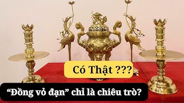 “Đồng Vỏ Đạn” Là Gì? Bí Ẩn Đằng Sau Cái Tên Bạn Chưa Biết!