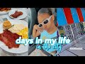 vlog: days in my life ♡ filming, breakfast dates, &amp; thrift with me