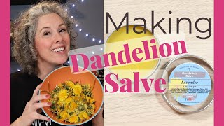 Making Dandelion Salve with Fresh Picked Dandelions | How to Make an Oil Infusion | With Recipe!