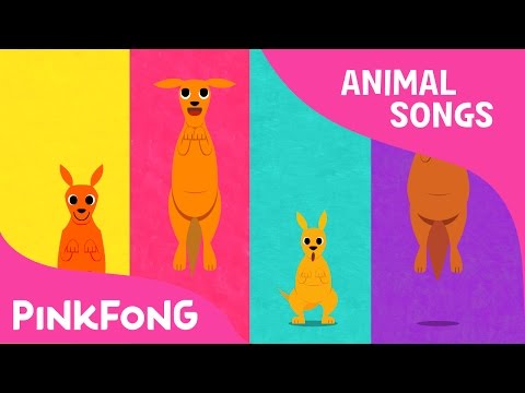 Looby Loo Kangaroo | Kangaroo | Animal Songs | Pinkfong Songs for Children