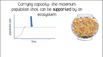 Carrying Capacity