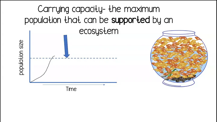 Carrying Capacity