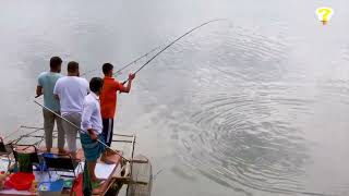 REAL Fishing 🦈 BiG Rohu Fishes Fisher man Catching in SINGLE HOOK Fishing in BD|#fishing