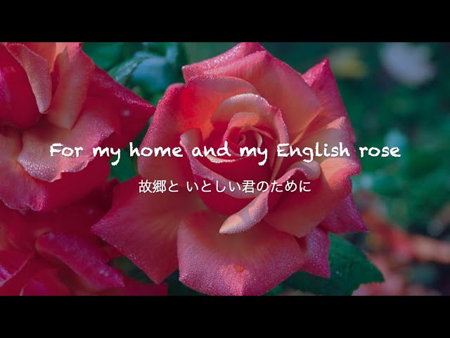 English Rose - Ed Sheeran [和訳] class=