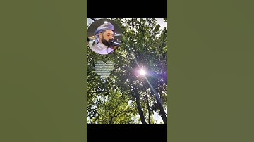 Rest your hearing - sheikh Raad al Kurdi - surah Nuh سورة نوح شيخ رعد الكردي