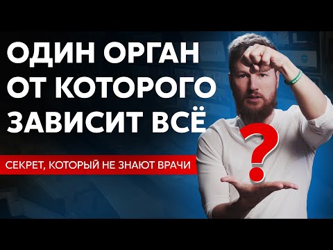 Проверь себя! Один орган, из-за которого страдает твоё здоровье.