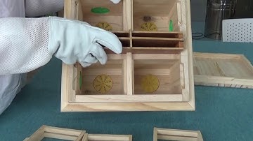 wooden mating box