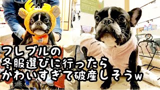 【犬服・冬服】フレブルの冬服買い行ったらどれもかわいすぎて破産しそうw【イオンペット】【ペテモ】Vlog