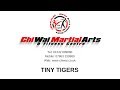 Tiny tigers classes at chi wai martial arts cheltenham