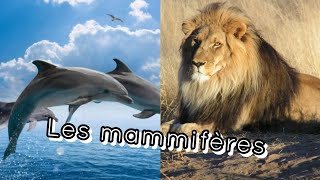 Les mammiferes