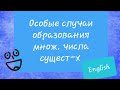 Особые случаи образования  множественного числа существительных.