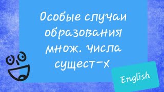 Особые случаи образования  множественного числа существительных.