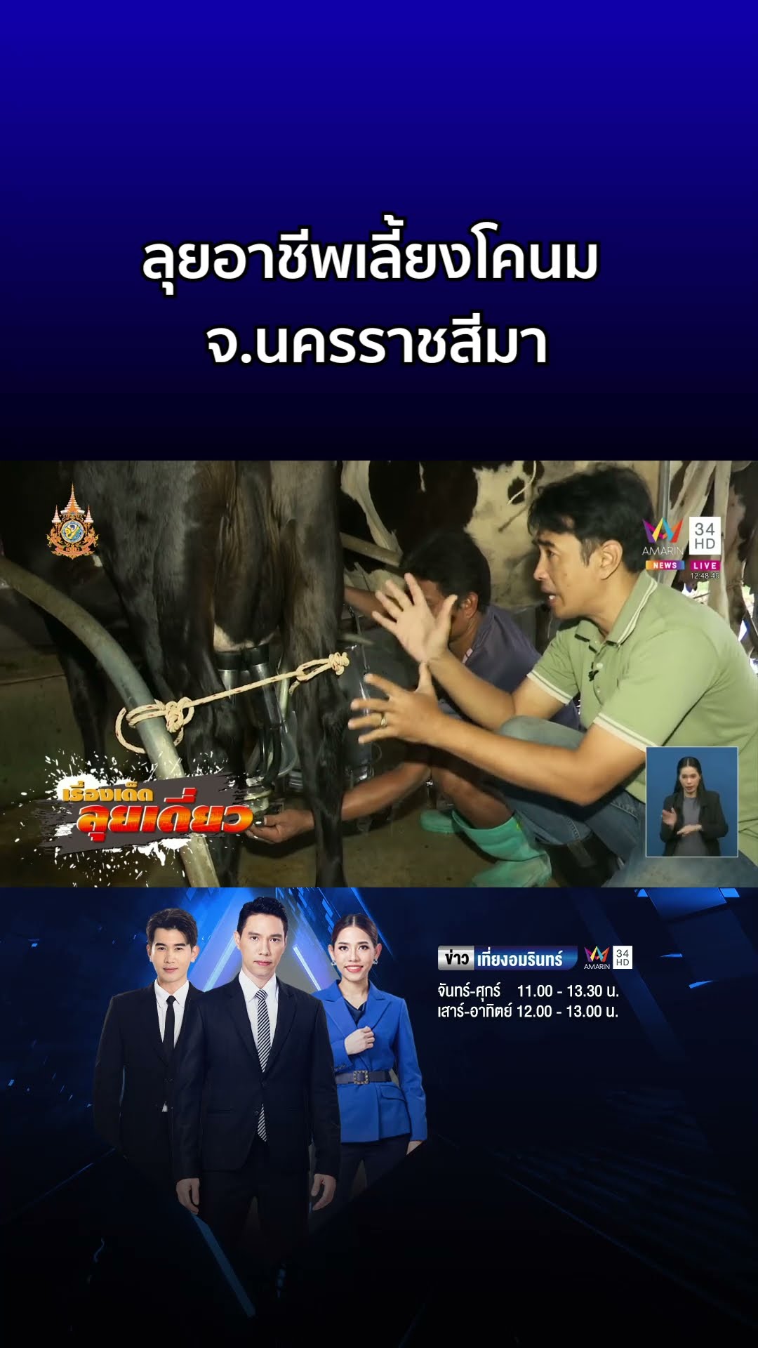 เรื่องเด็ดลุยเดี่ยว  ลุยอาชีพเลี้ยงโคนม จ นครราชสีมา  | ข่าวเที่ยงอมรินทร์