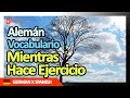 Aprender Alemán | Vocabulario Alemán Escuchar mientras hace ejercicio | Golearn