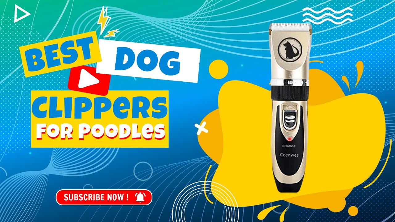 What is the best dog clippers for poodles Kitipity YouTube