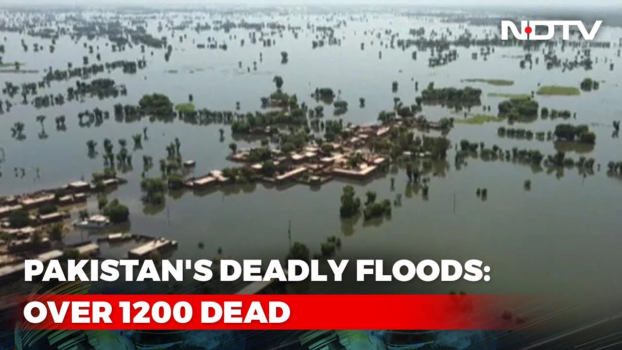 Pakistan Appeals For International Aid As Flood Death Count Rises - YouTube