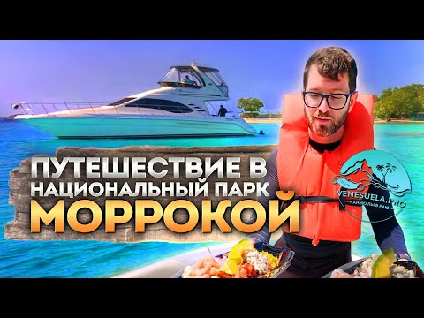 Видео: Венесуэла ПРО: путешествие в национальный парк Моррокой