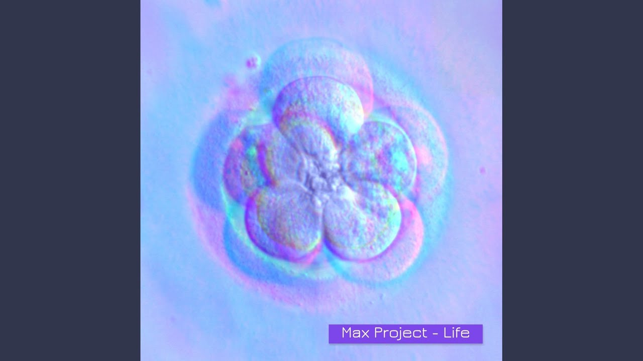 Watch Life (Original Mix) on YouTube Watch Life (Original Mix) on YouTube