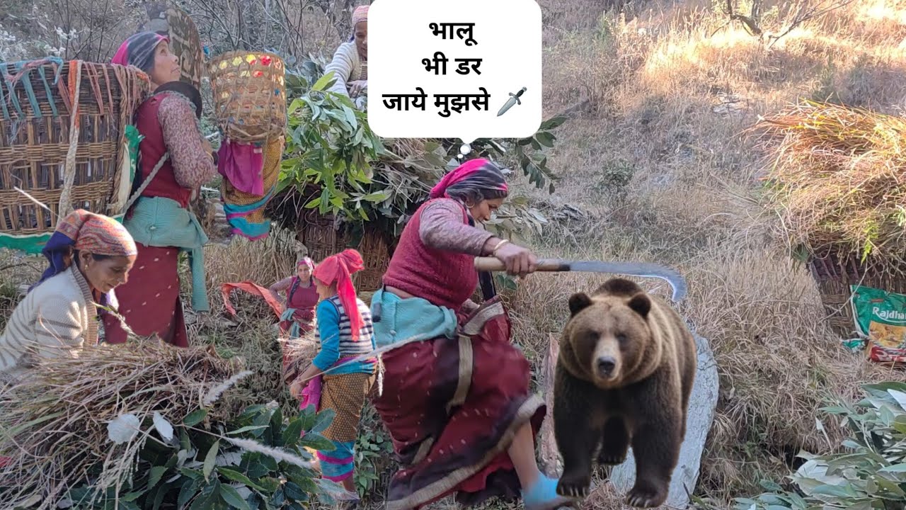 मिलिए हमारे पहाड़ी पहलवान खतरों की खिलाड़ी से ♥️🔥|pahadilifestylevlogs |