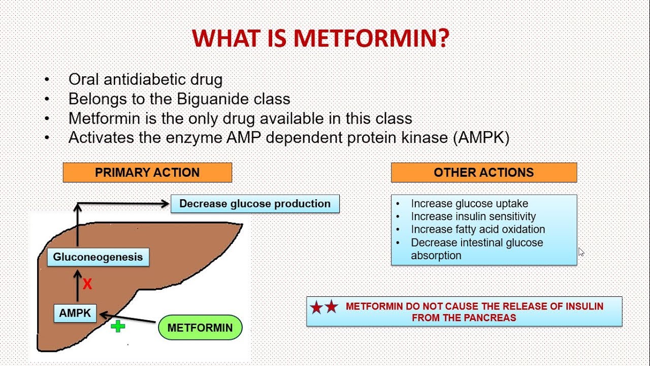 What Drug Class is Metformin?