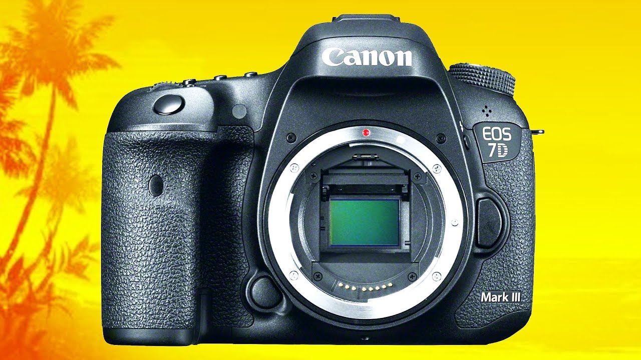 Is the Canon 7D Mark III even RELEVANT any More? - YouTube