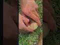 Satisfying Take Record Springfood Springrecipes Spring Cuttingskills Satisfying Take Record Springfood Springrecipes Spring Cuttingskills