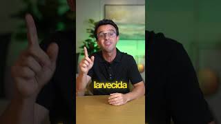 Do Maranhão para Harvard com uma frutinha