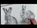 Drawing a Realistic Easter Bunny – Realistic Rabbit Pencil Sketch | Step-by-Step (No Talking) Part 2