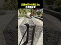 公園の石から聞こえた不思議な音