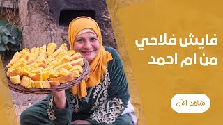 الفايش الفلاحي في الفرن من ام احمد