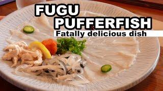 FUGU OR PUFFERFISH, ITS TOXIN IS 1000 TIMES MORE POTENT THAT CYANIDE!!! A LETHALLY DELICIOUS DISH